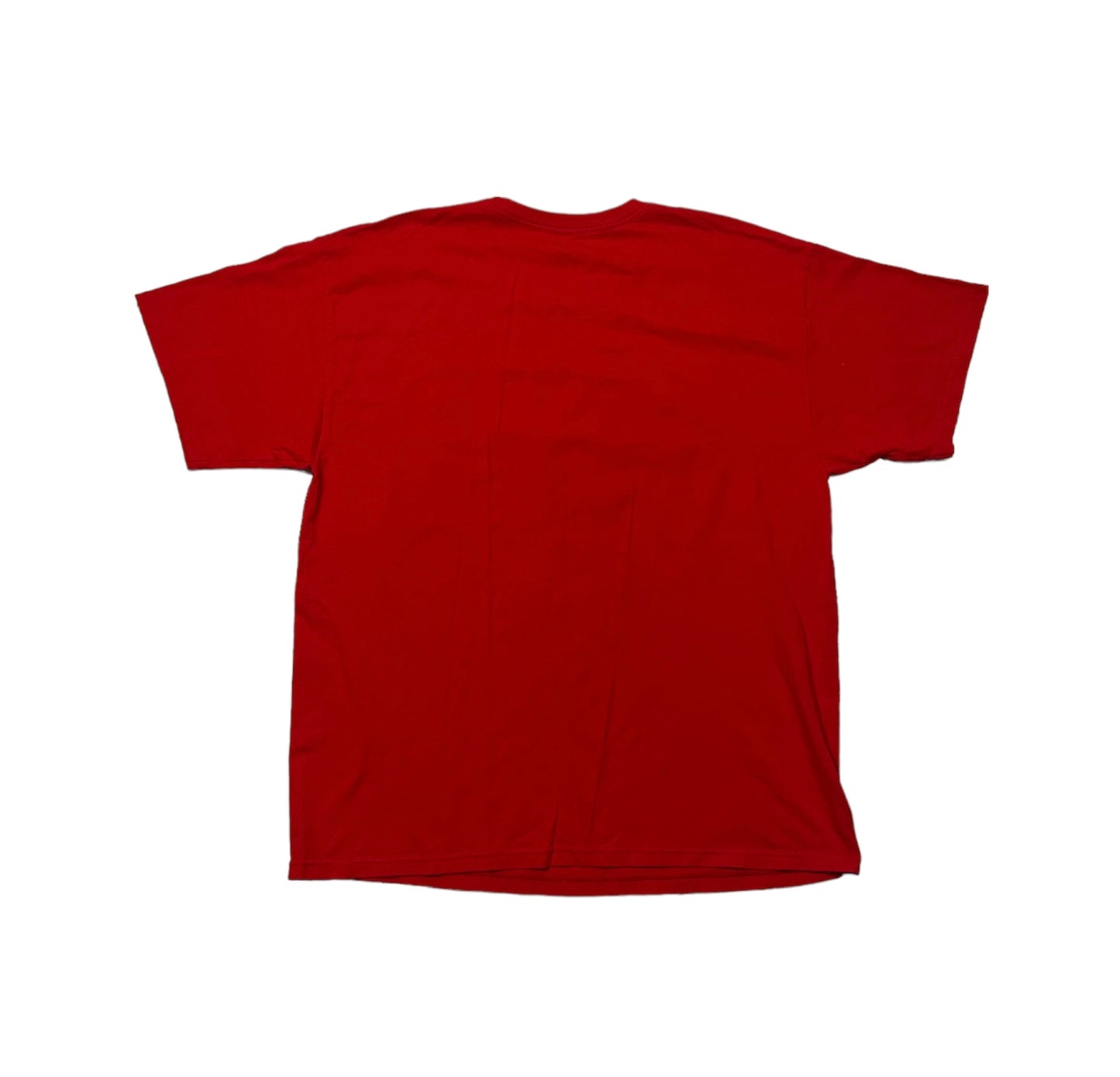 Dale Earnhardt Jr NASCAR Tee
