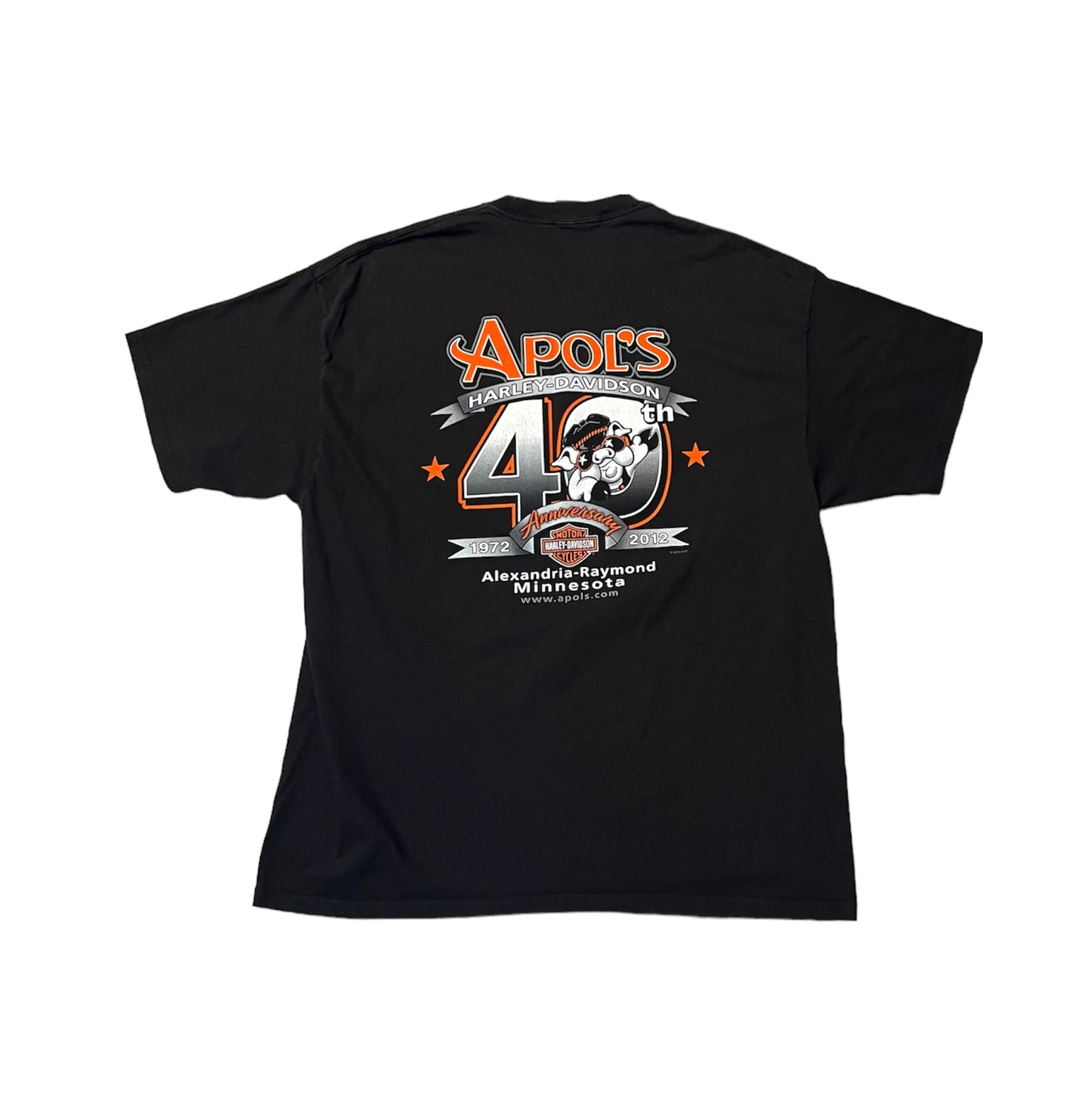 Harley Davidson Alexandria-Raymond Minnesota Tee