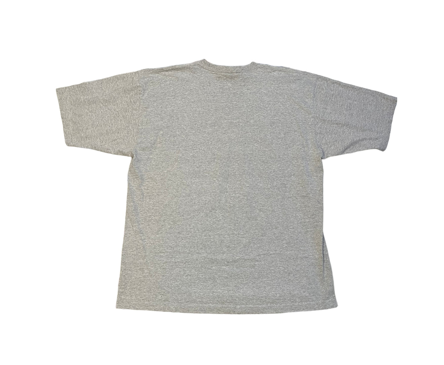 Y2K South Pole Graphic Tee