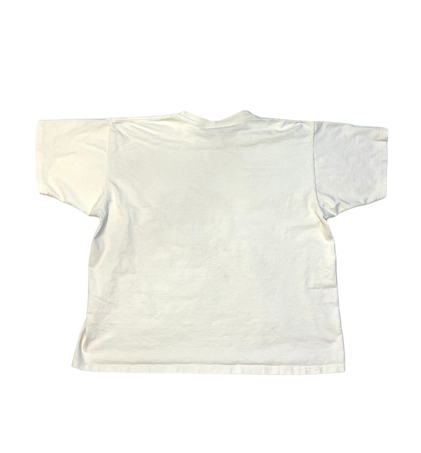 Vintage 90's Illinois Fighting Illini Tee